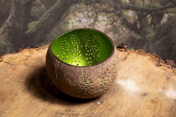 Coconut Bowls